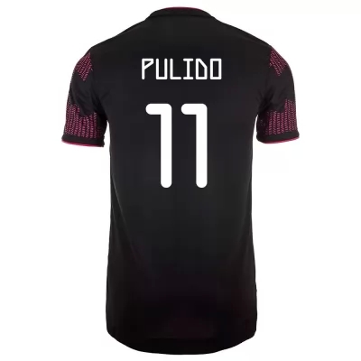 Naisten Meksikon Jalkapallomaajoukkue Alan Pulido #11 Kotipaita Punainen Ruusu 2021 Lyhythihainen Paita